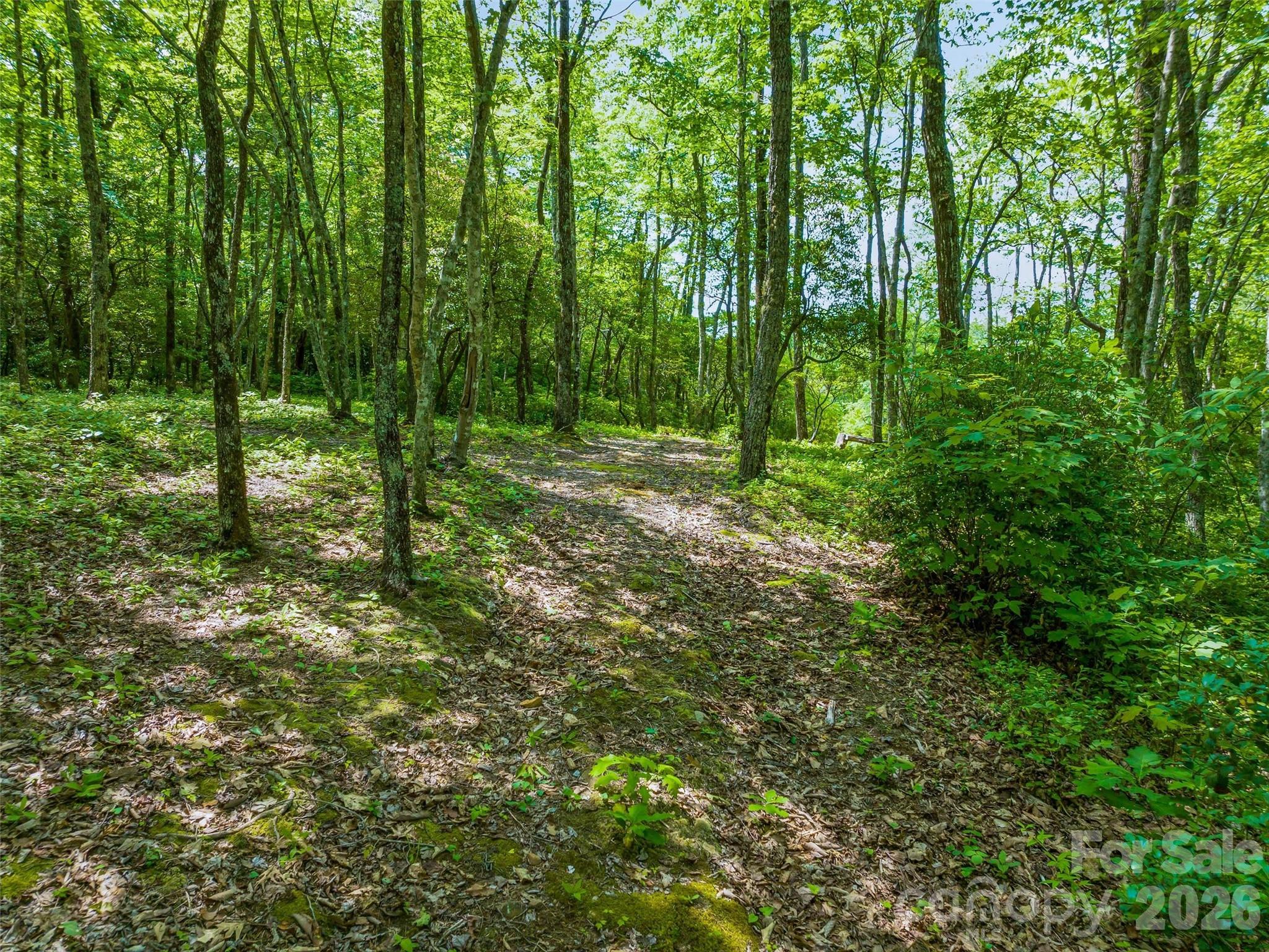 Lake Toxaway Estates - Land