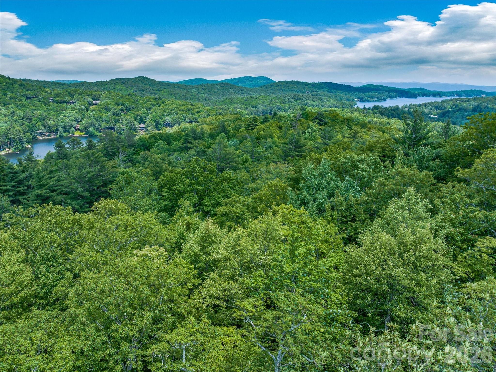 Lake Toxaway Estates - Land
