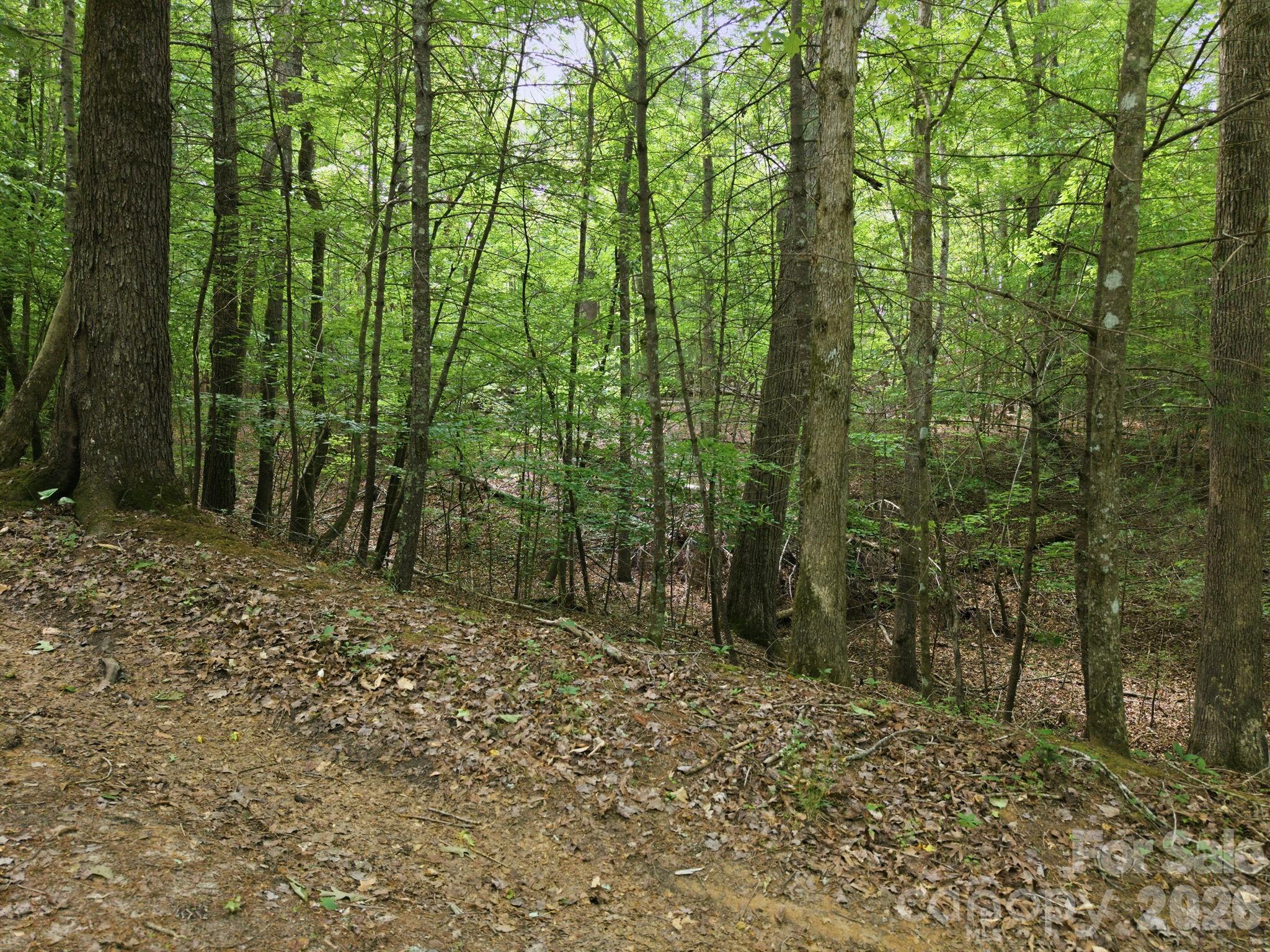 2411 Hundred Acres Lane