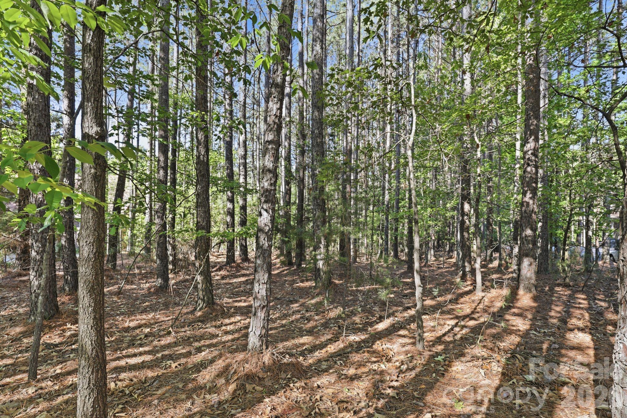 158 Blue Ridge Trail