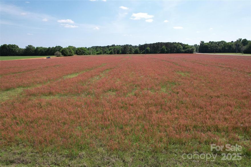 5.207-acre tract near Bennettsville in Marlboro County with direct road frontage. The parcel is completely cleared and flat with no existing structures, and it was previously leased for soybean farming. Electric is available along the road; a well and septic would be needed. The property has been recently surveyed and includes a completed soil test. Additional adjoining acreage may be available, up to a total of 20 acres. Zoning allows for stick built homes, minimum 1700 sq feet.