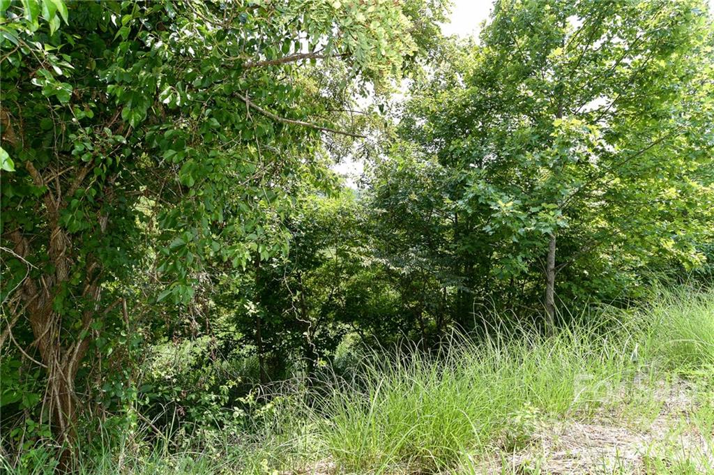Lot 9 The Vines Boulevard Lot 9