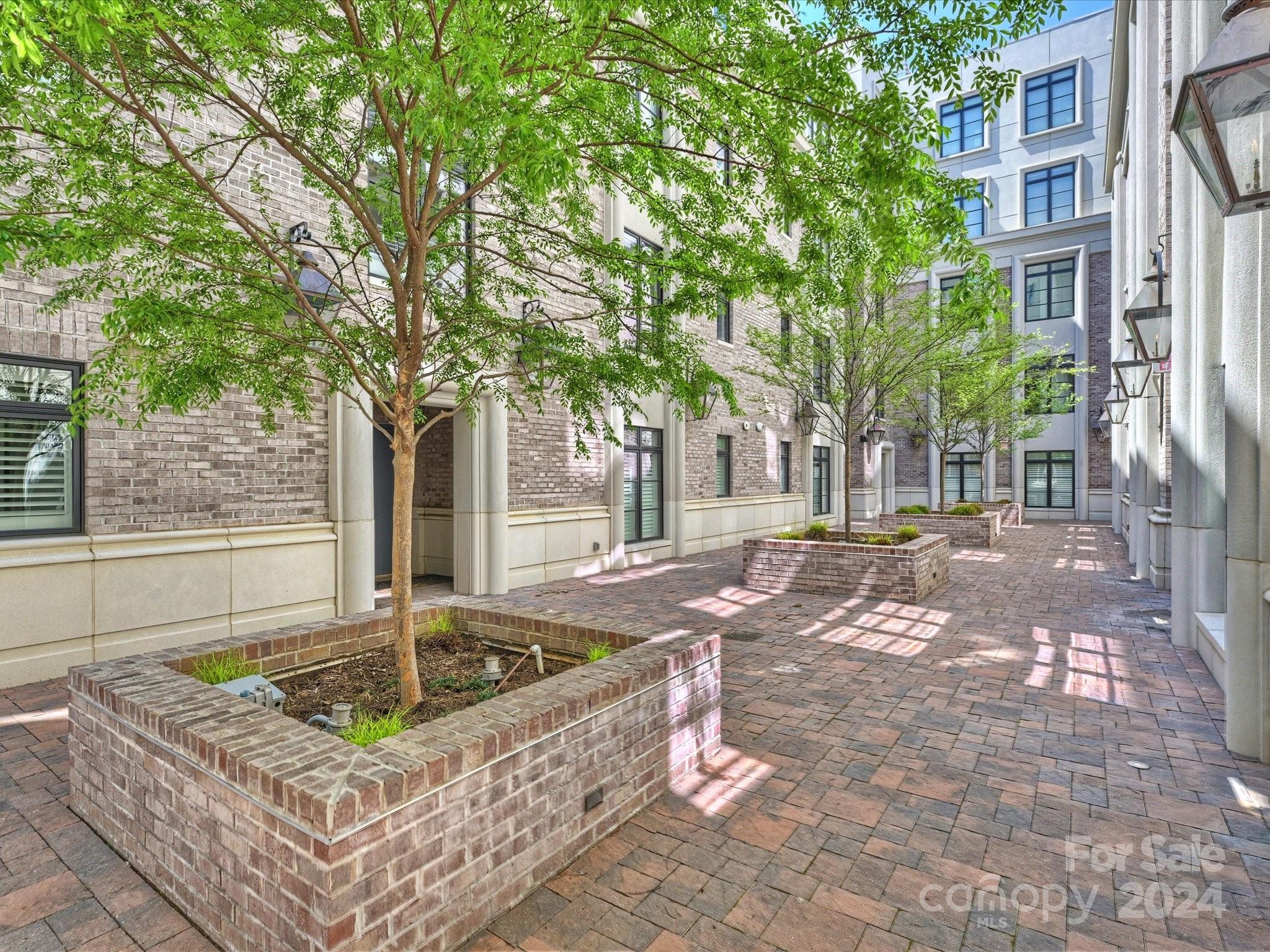 Myers Park - Residential