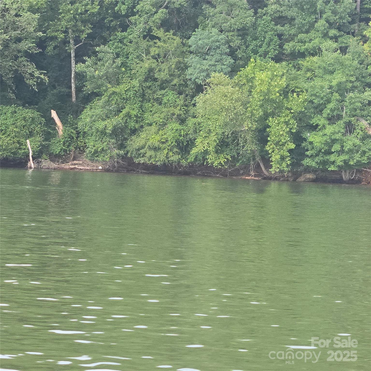 312 Rivercliff Drive 35