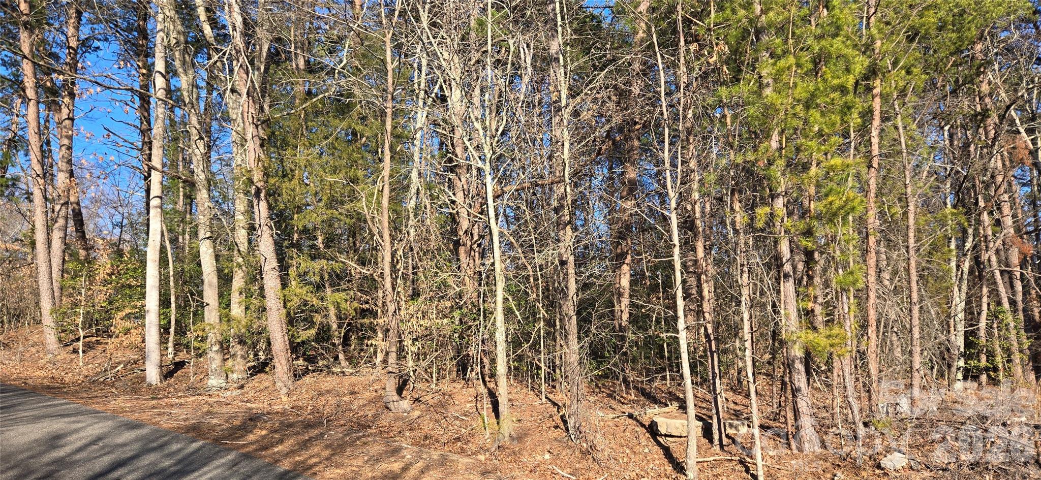 1214 Cartwright Drive 33