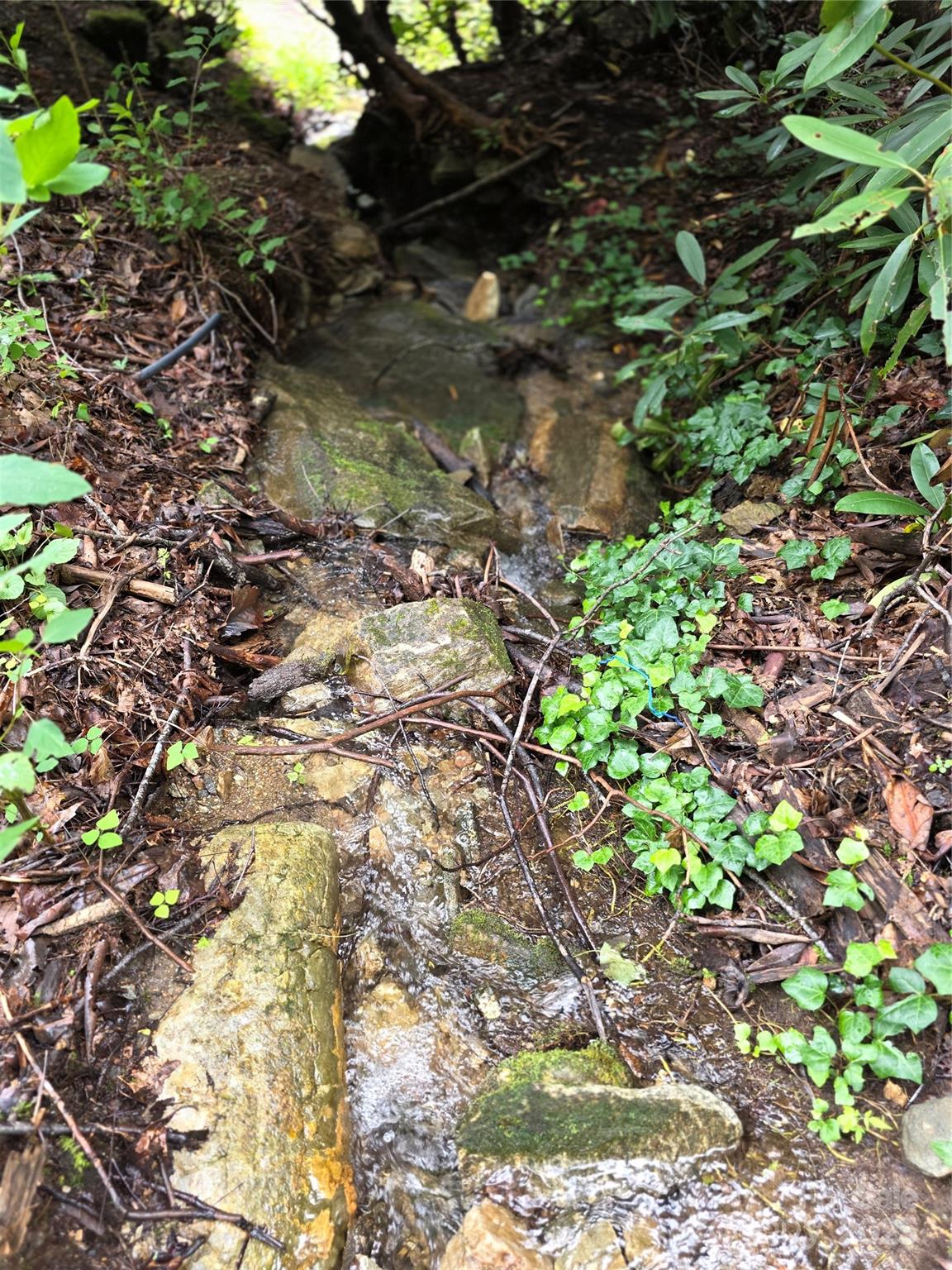 Cox Creek Estates - Residential