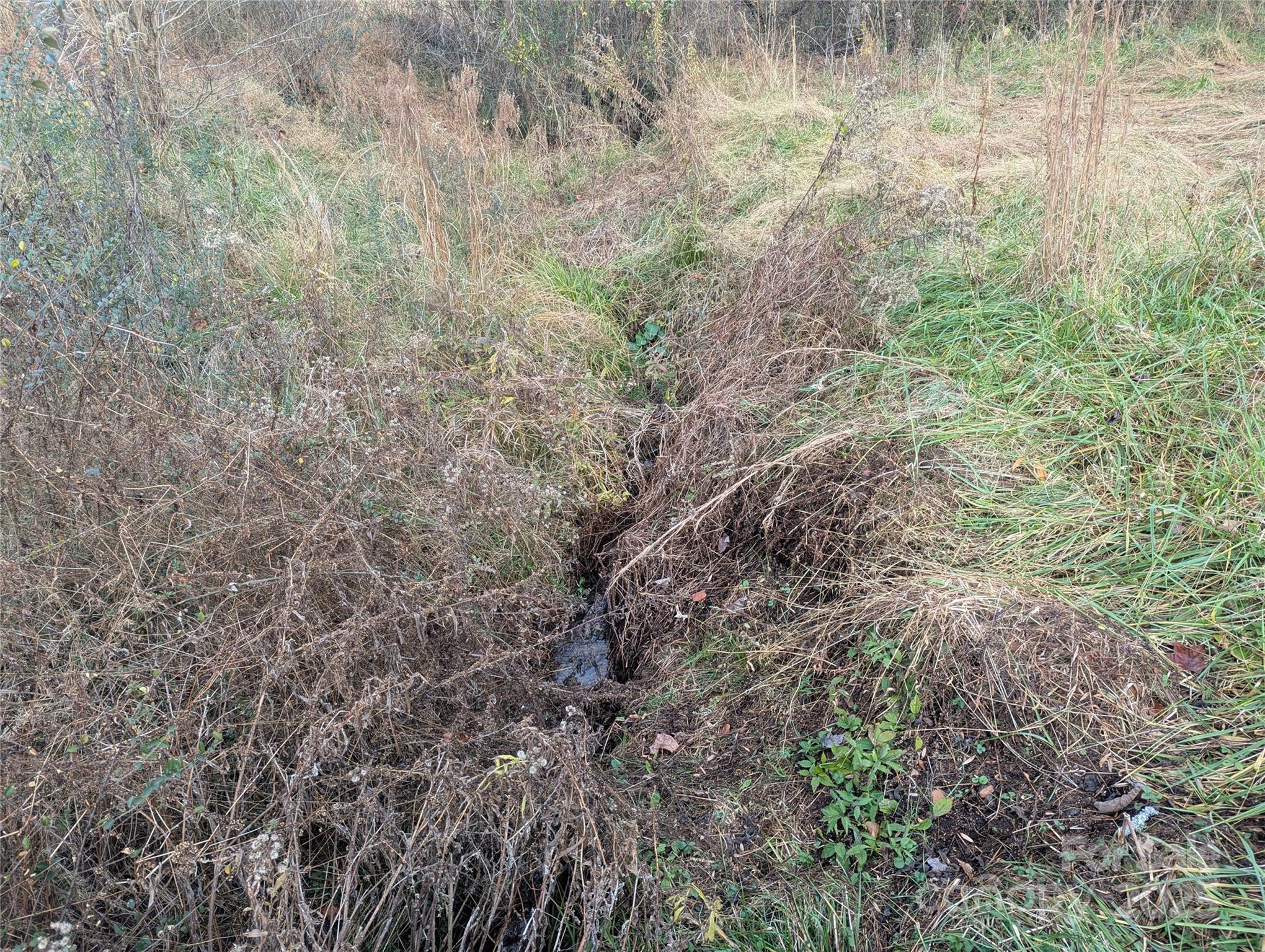 36 Country Cove Court 6