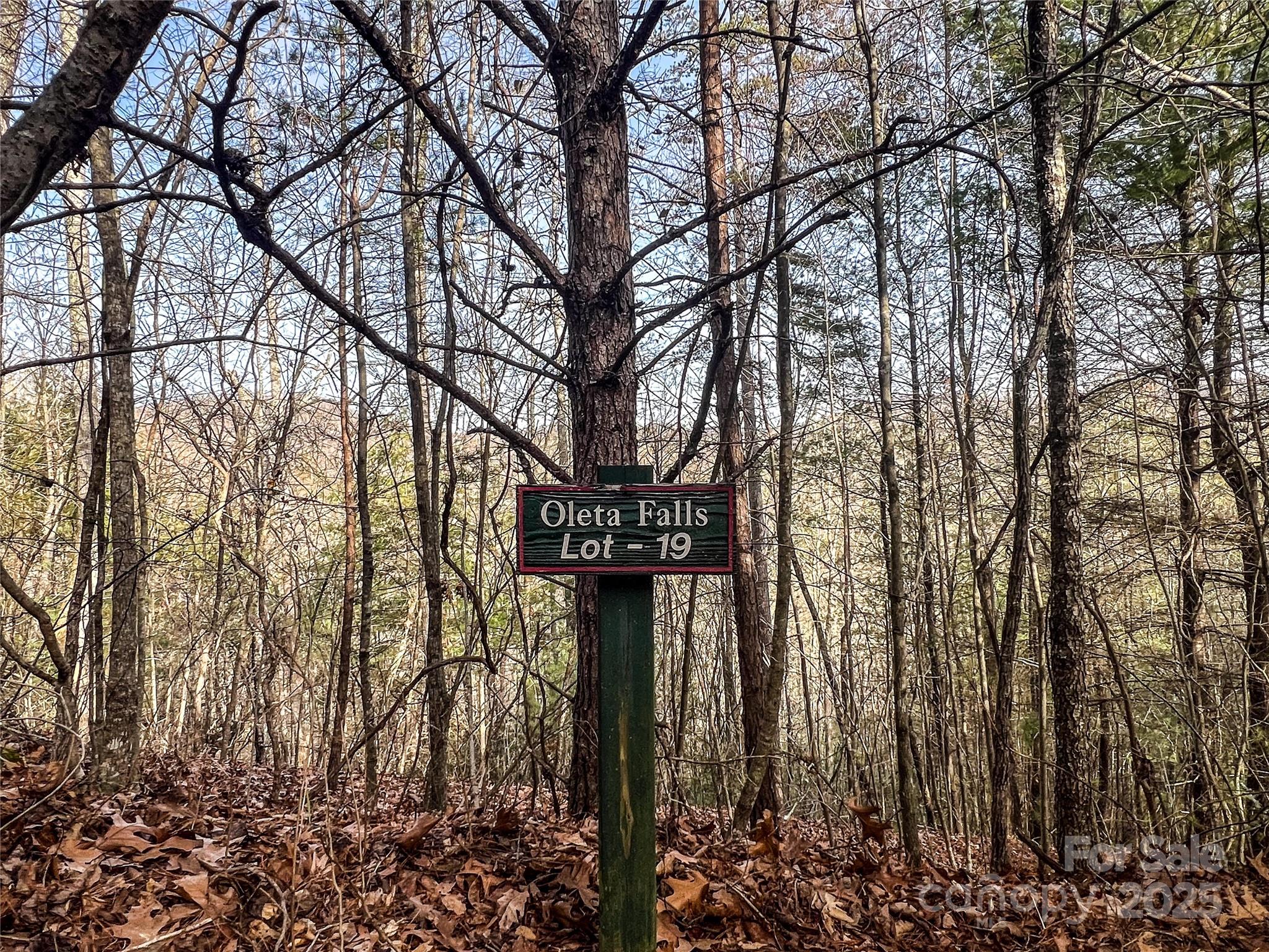 Oleta Falls - Land