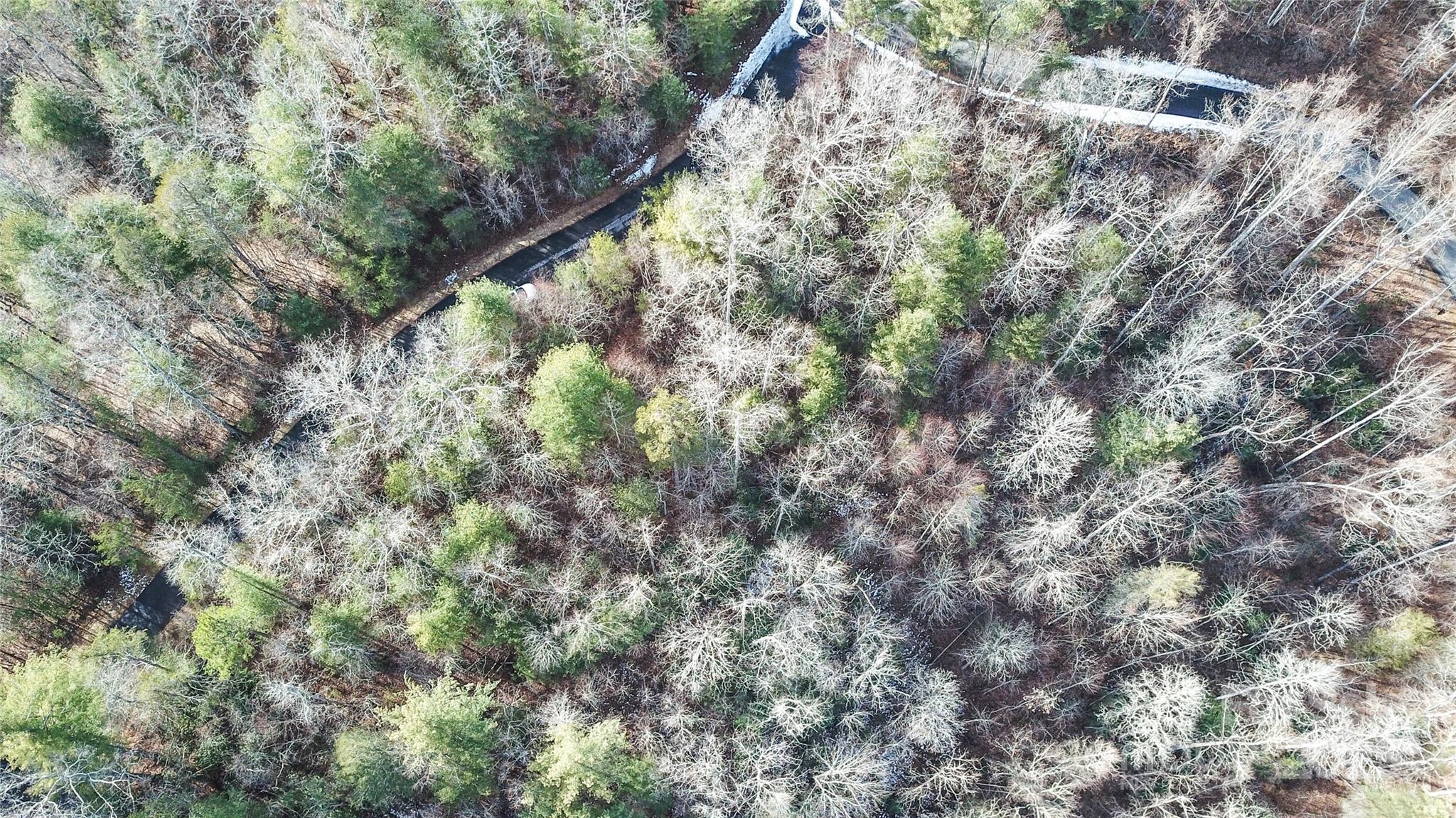 0000 Stepp Ridge Court