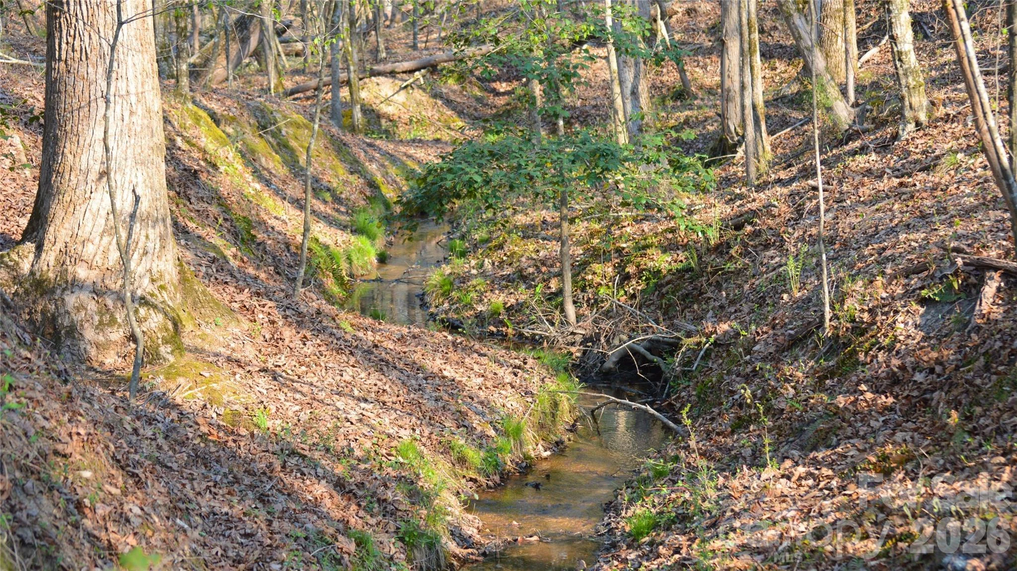 00 Peter Hawk Creek Road Unit 10, Jonesville, SC, 29353