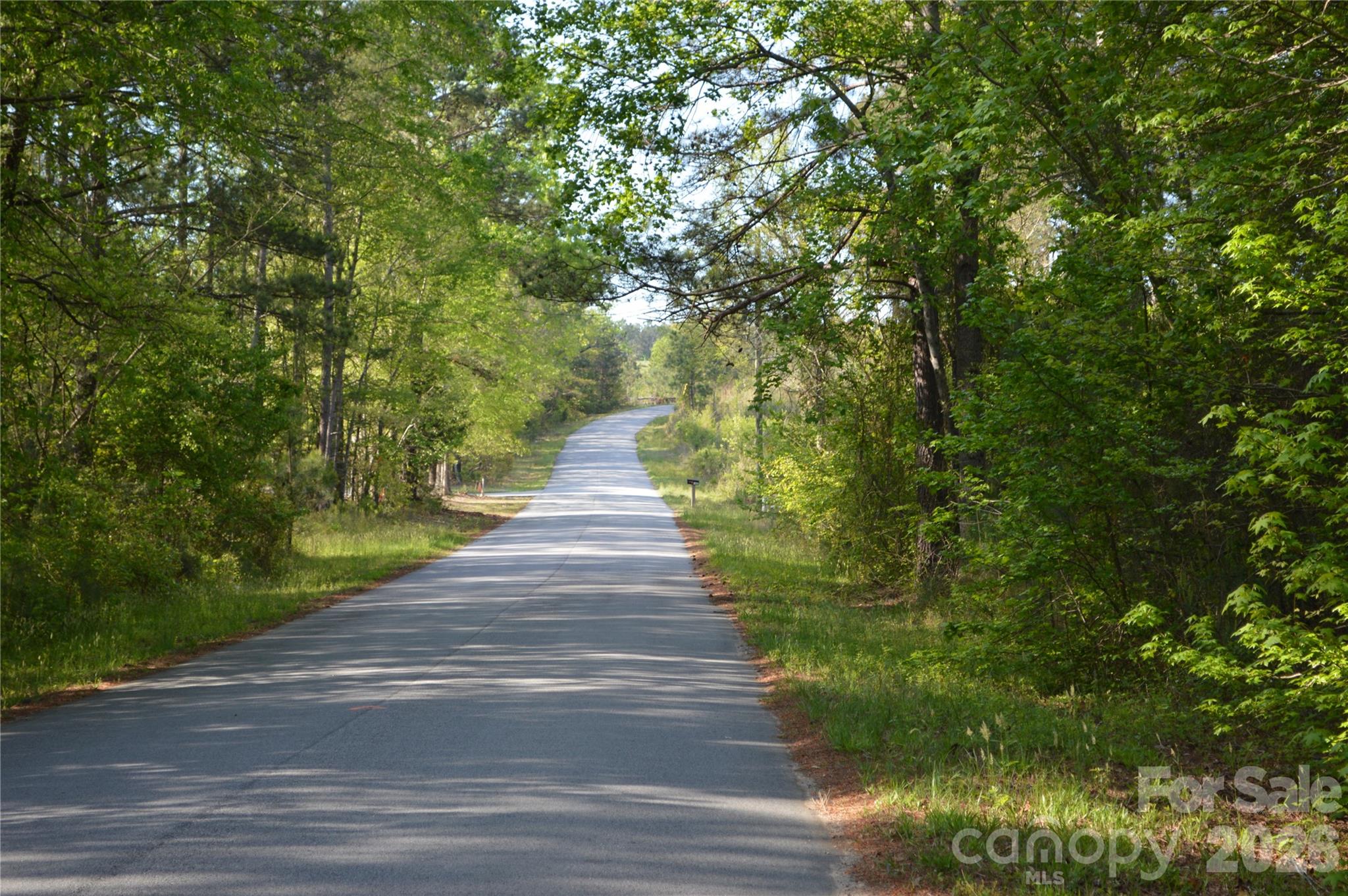 00 Peter Hawk Creek Road 10