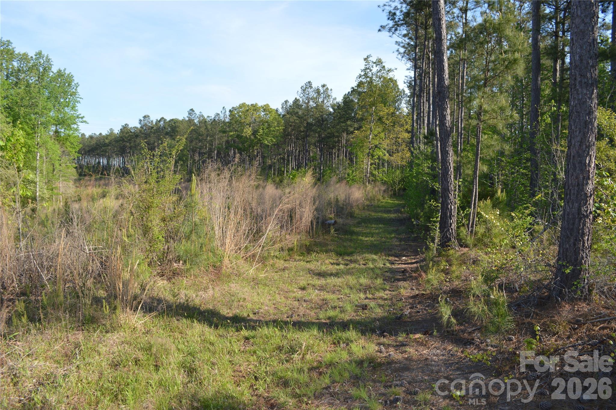 00 Peter Hawk Creek Road 10