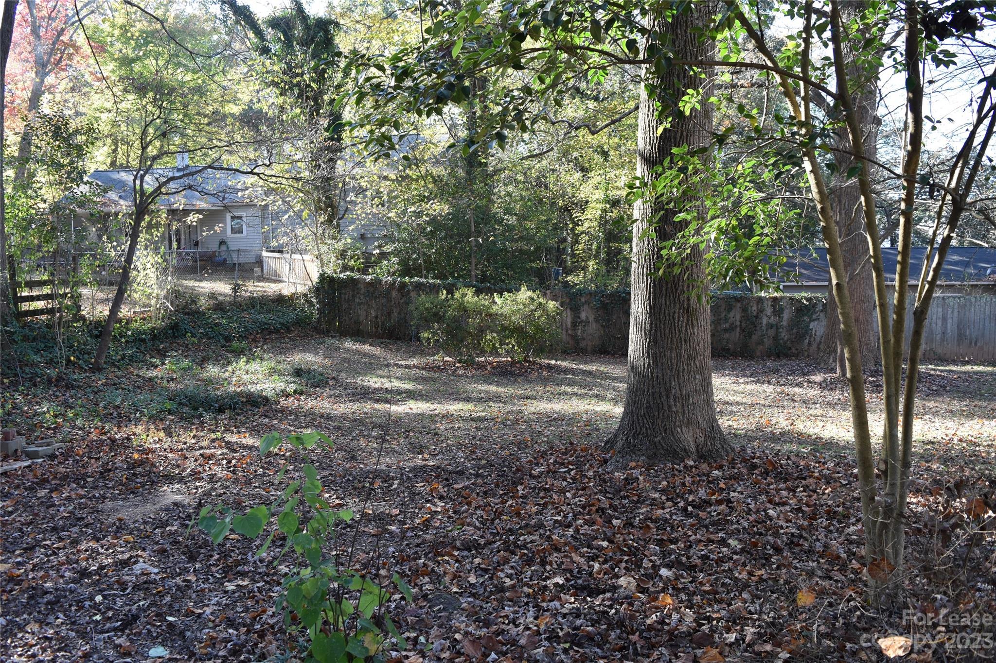 None - Residential Lease