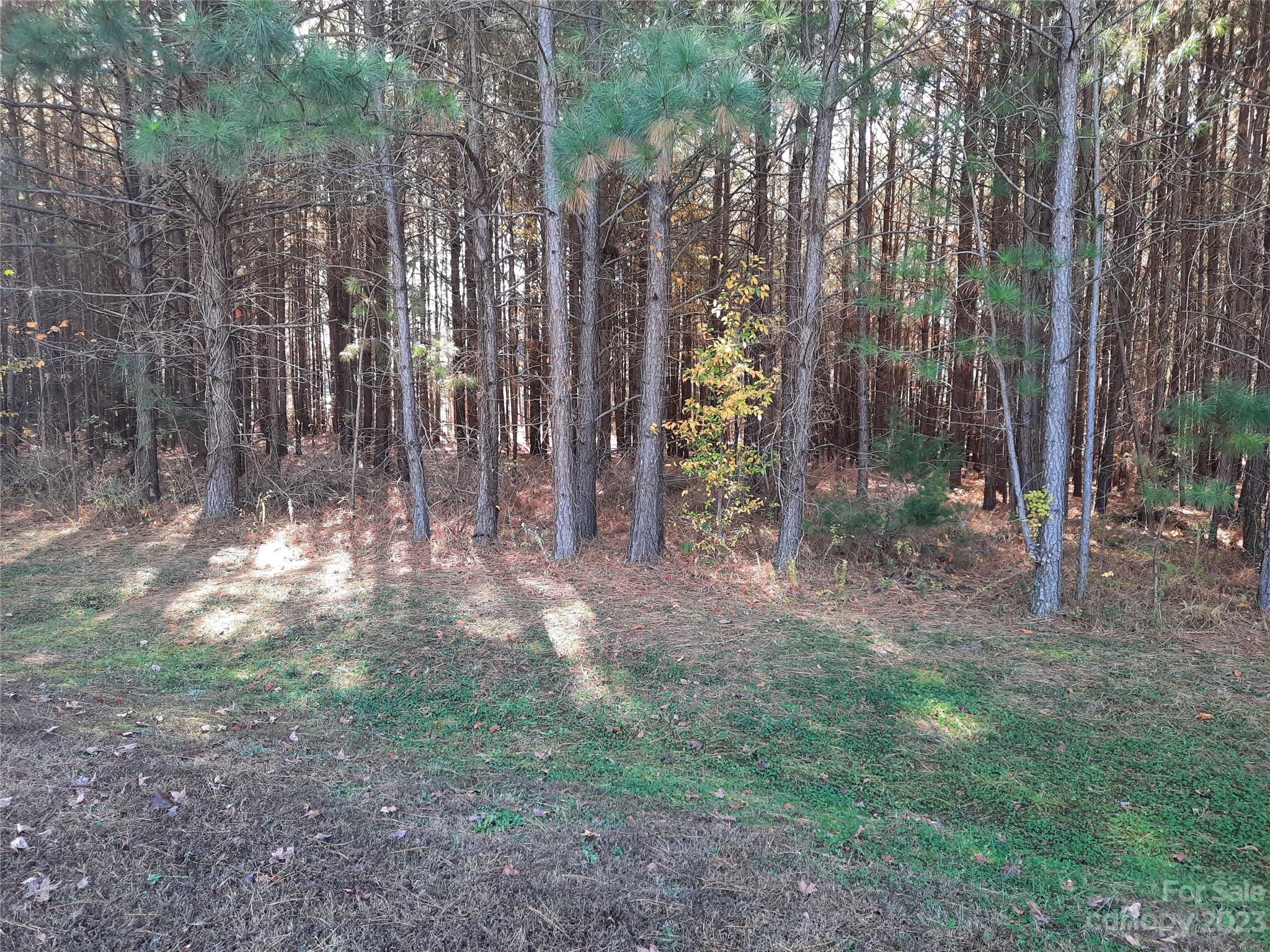 Sunset Pointe - Land