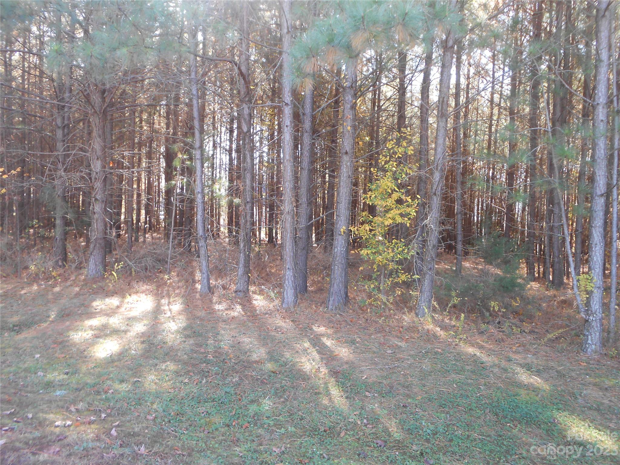 Sunset Pointe - Land