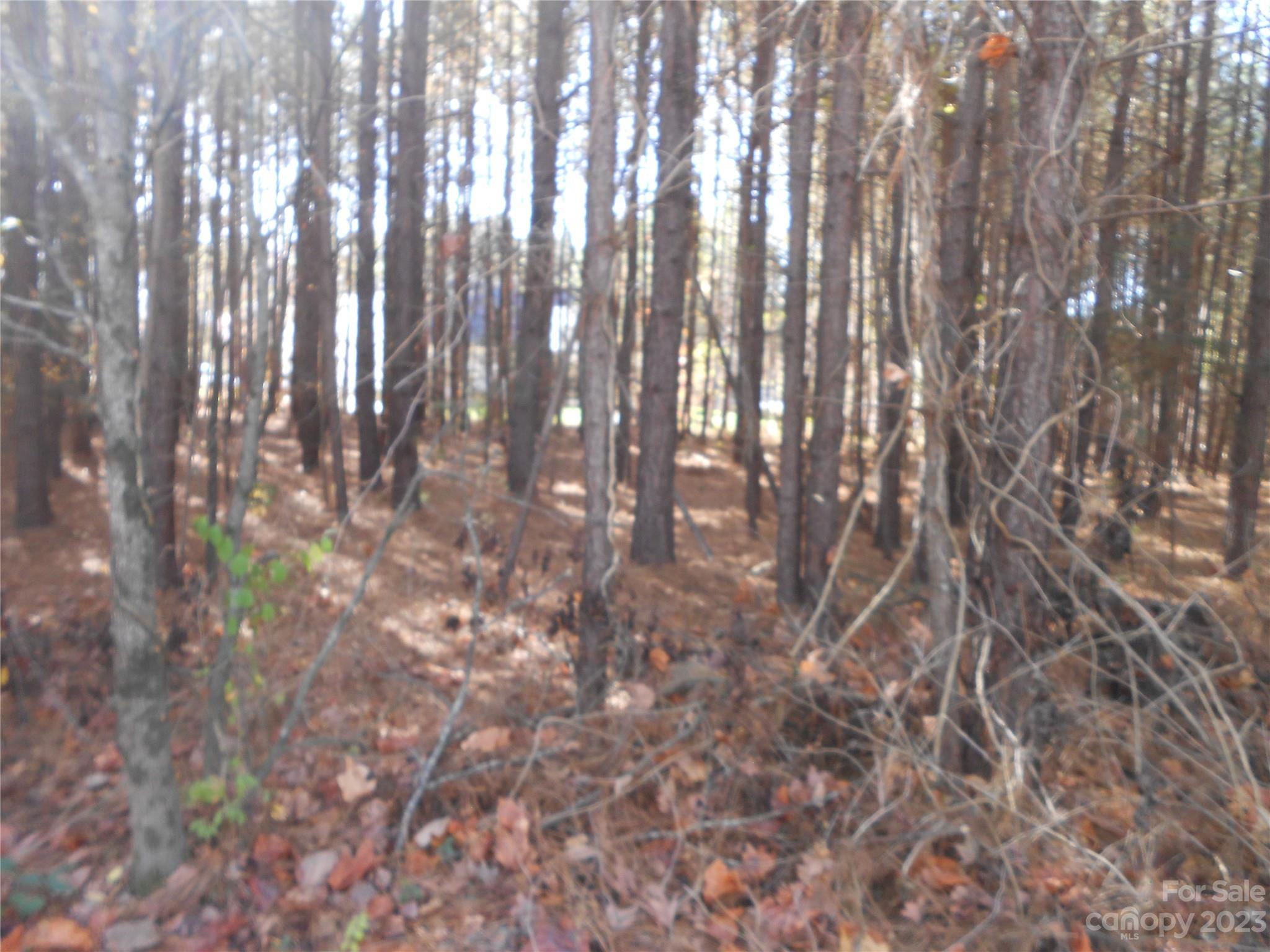 Sunset Pointe - Land