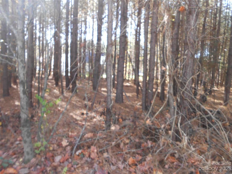 Back on the market due to no fault of the sellers.  Come build your dream home in this Neighborhood on High Rock Lake. Looking forward to enjoying life on the lake.  Private community just waiting for you.  You can choose to live here everyday, just weekend, summers or winters.  Gated community located on High Rock lake. Amenities are all complete. Club house, outdoor pool, playground, tennis counts, community lake access plus more. Excellent opportunity to build your dream home. Lovely wooded lot which will give you a chance to purchase over a half an acre lot. Neighborhood is minutes from I-85. High Rock lake is close Salisbury, Charlotte, Greensboro and more.