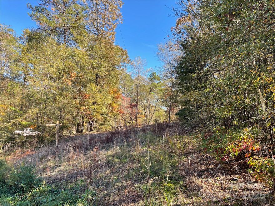 This corner lot offers .69 of an acre, country living with the availability to have public
water. The lot has a mixture of trees and a clear area. This lot welcomes a double-wide
with the bonus of being close to 221 A. This would make a great property for your
forever home or camper area. The location makes it easier to get to Forest City, Shelby,
Boiling Springs, Chesnee, and Gaffney. Schedule a showing and come take a walk on
this property.
