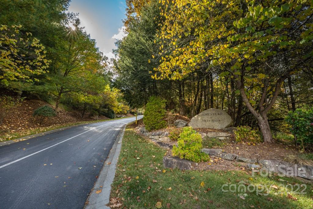 99999 Shining Rock Path