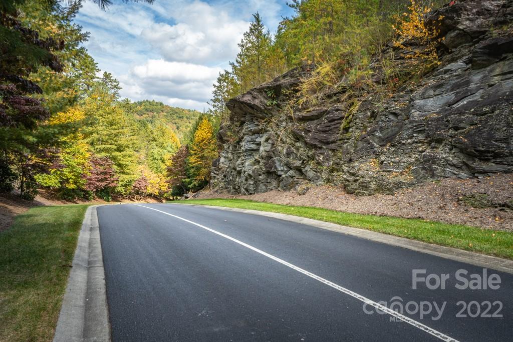 99999 Shining Rock Path