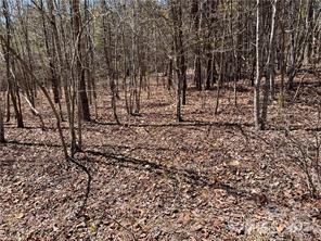 Green River Highlands - Land