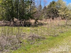 108 ELLIOTT LN, RUTHERFORDTON, NC 28139 - Image 8dab43ae4ef30bb9aaf7a1cc72117372/3019291395