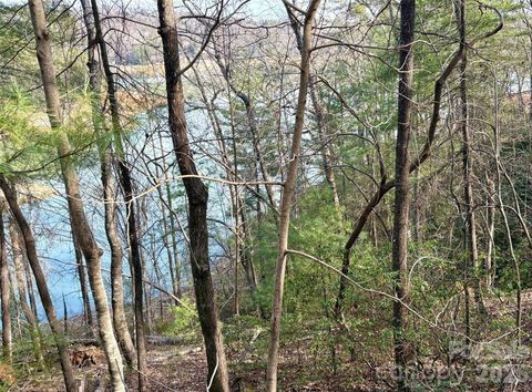 0 Falls View Trail lot 23A Lake Lure NC 28746