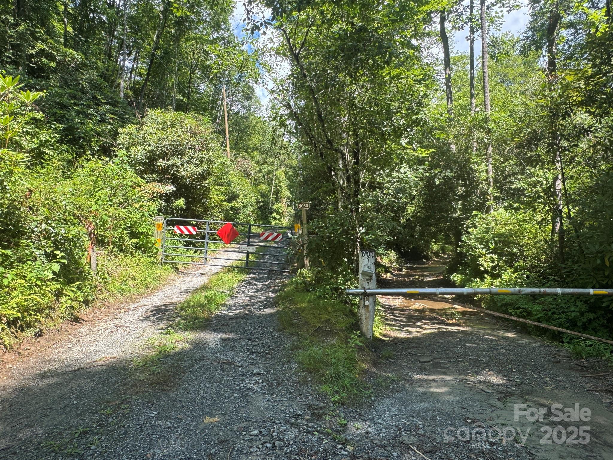 999 Ivy Lane