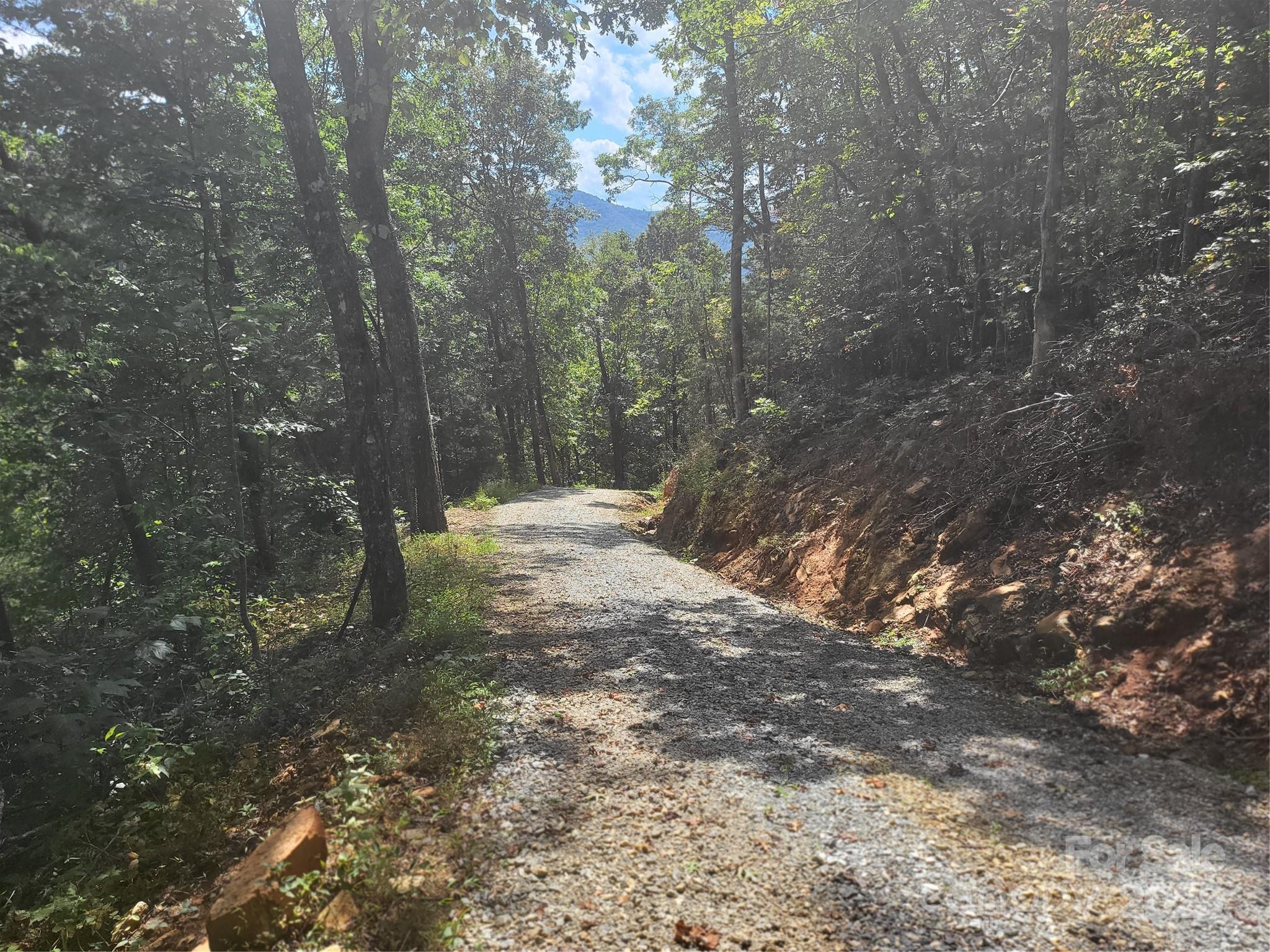 Cedar Creek Farms - Land