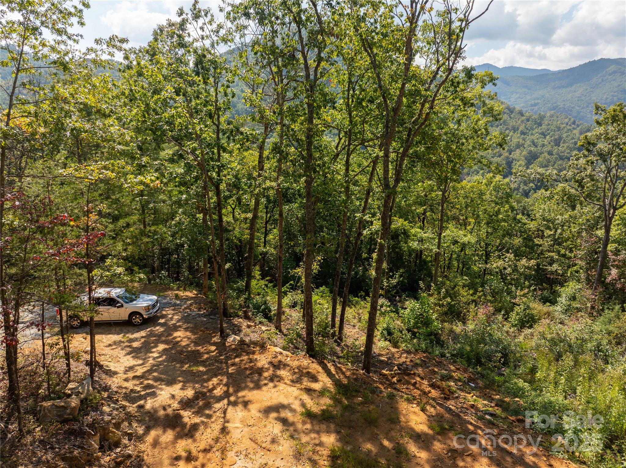 Cedar Creek Farms - Land