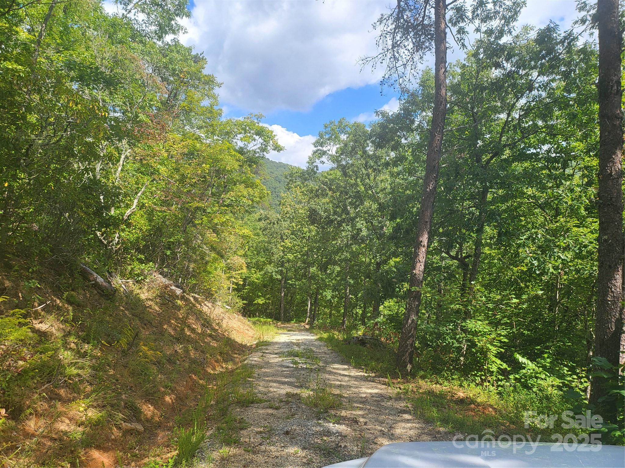 Cedar Creek Farms - Land