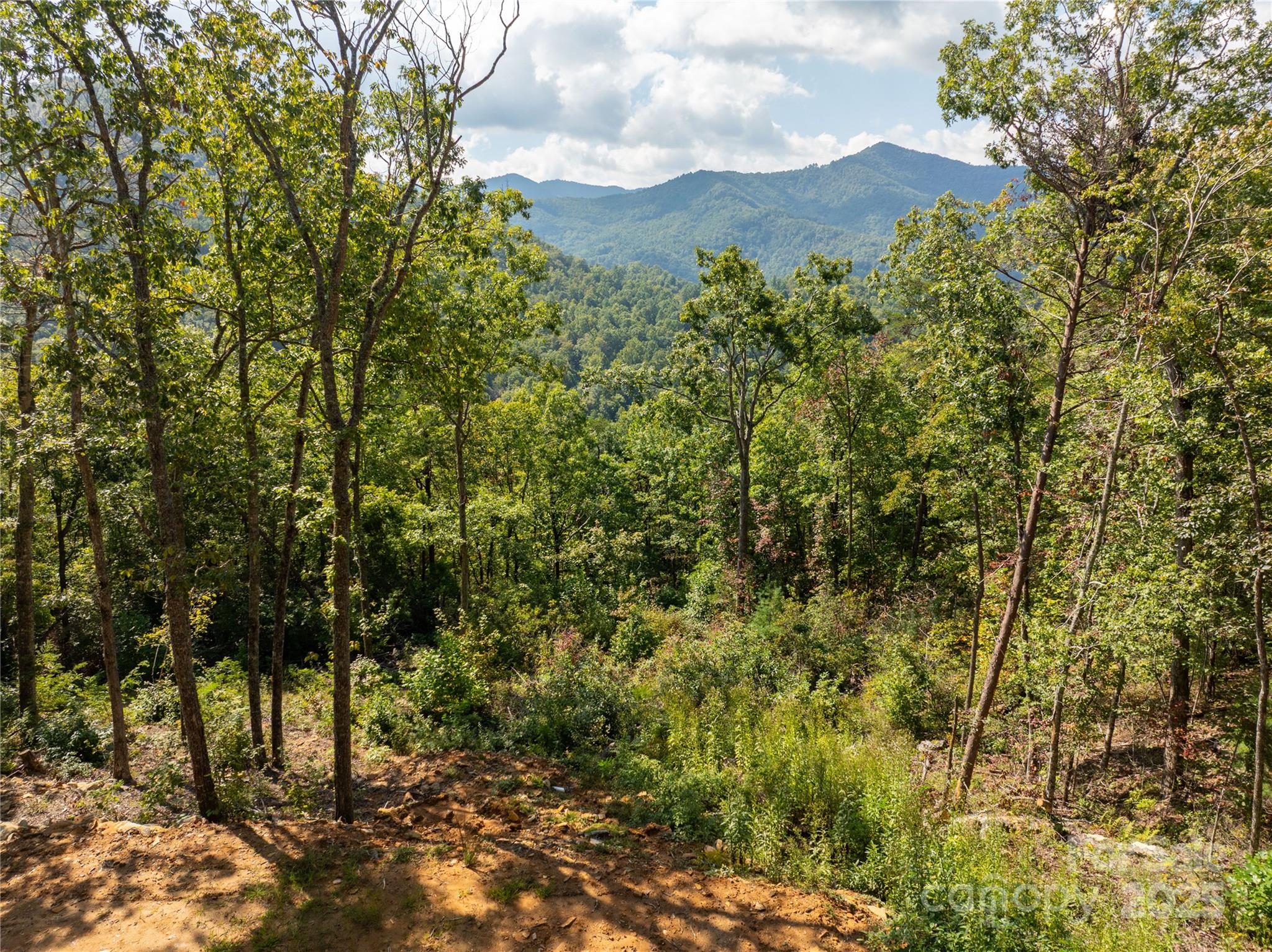 Cedar Creek Farms - Land