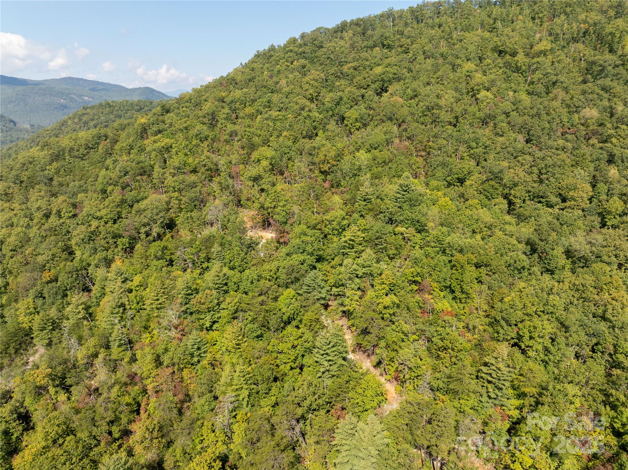 Cedar Creek Farms - Land