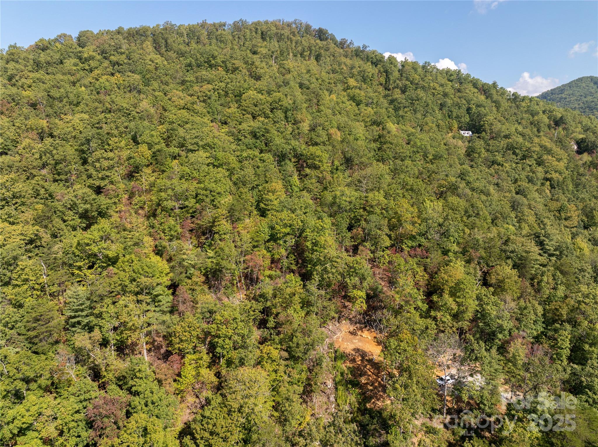 Cedar Creek Farms - Land