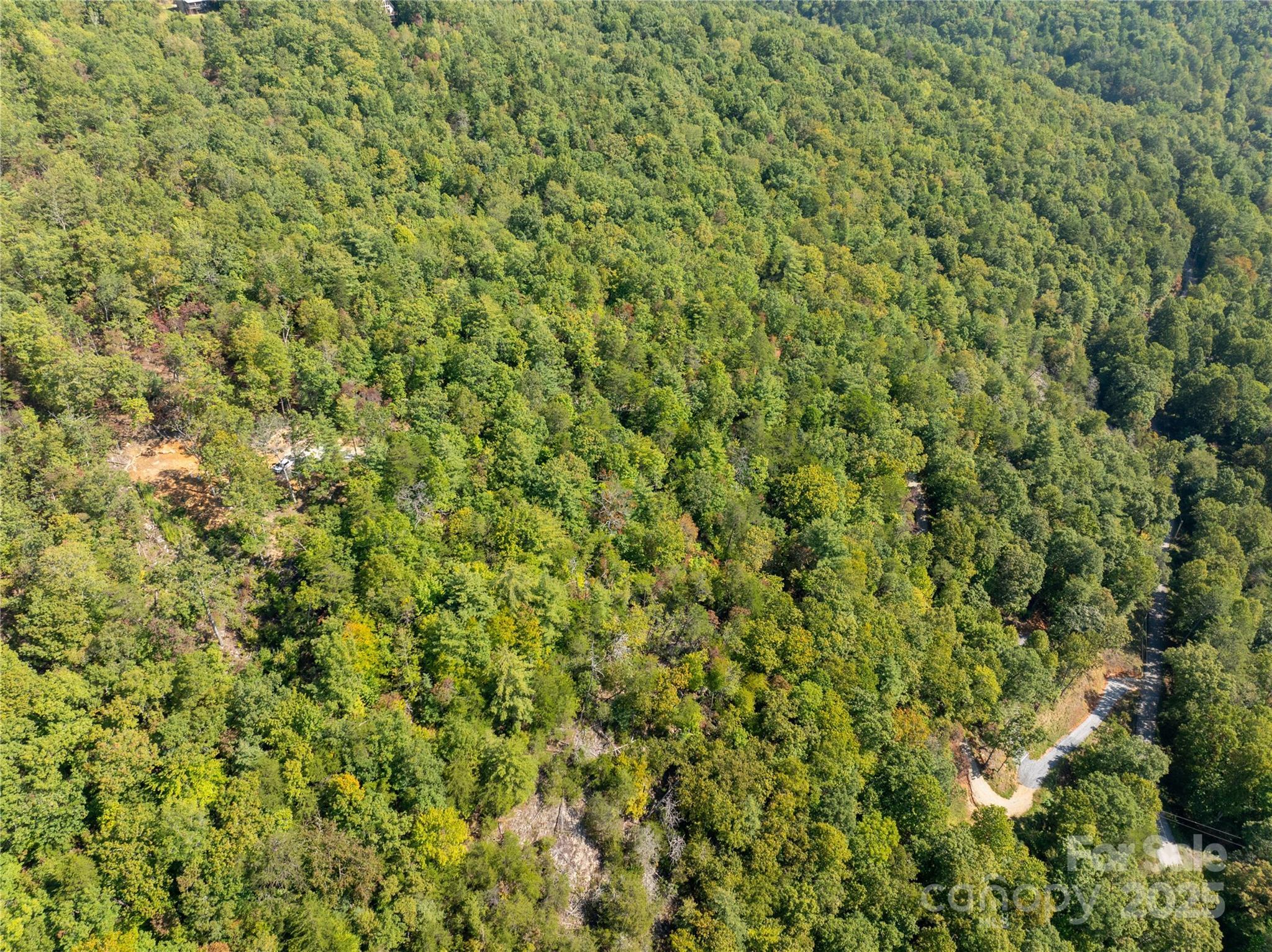 Cedar Creek Farms - Land