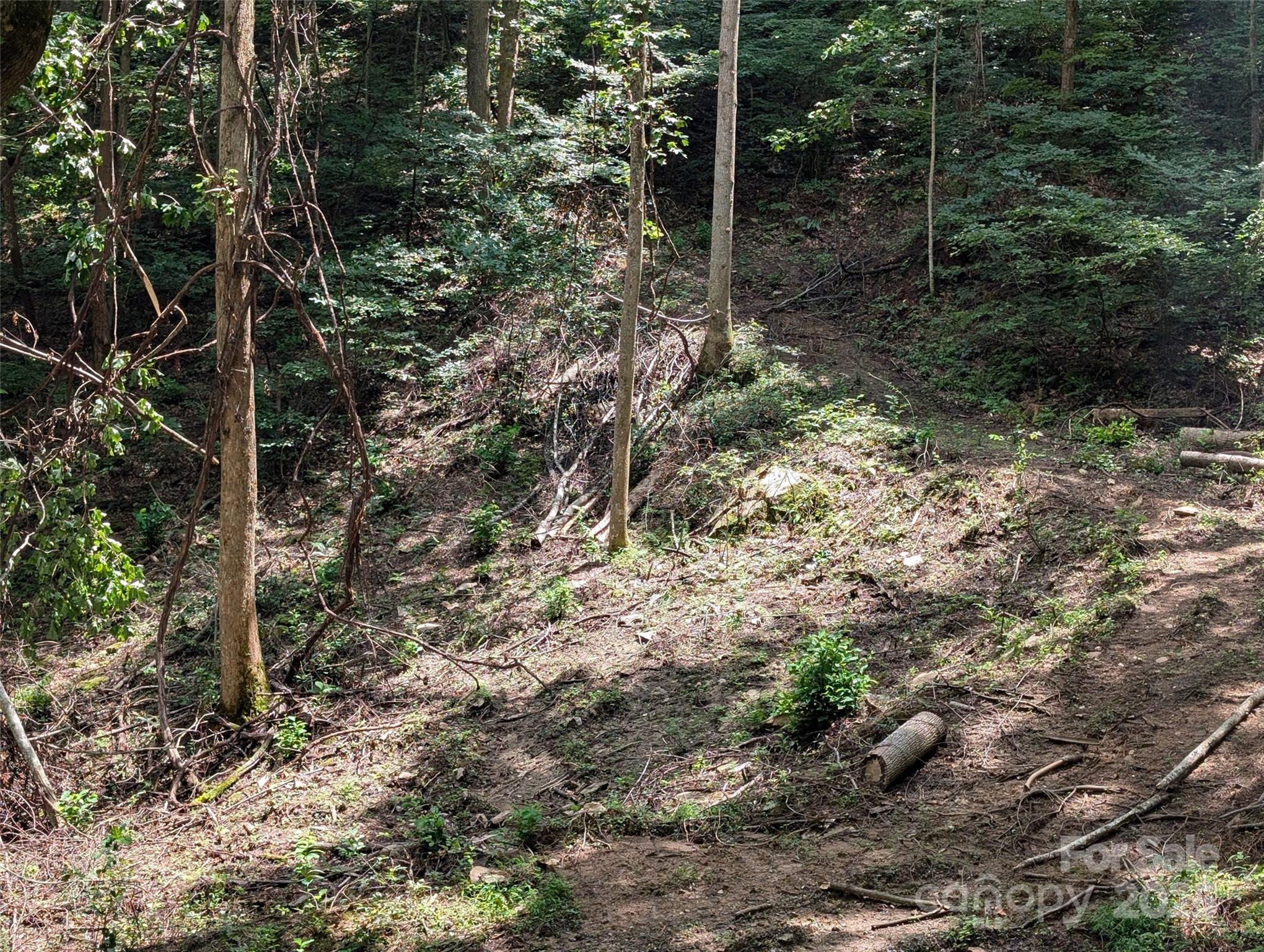 Mountain Park - Land