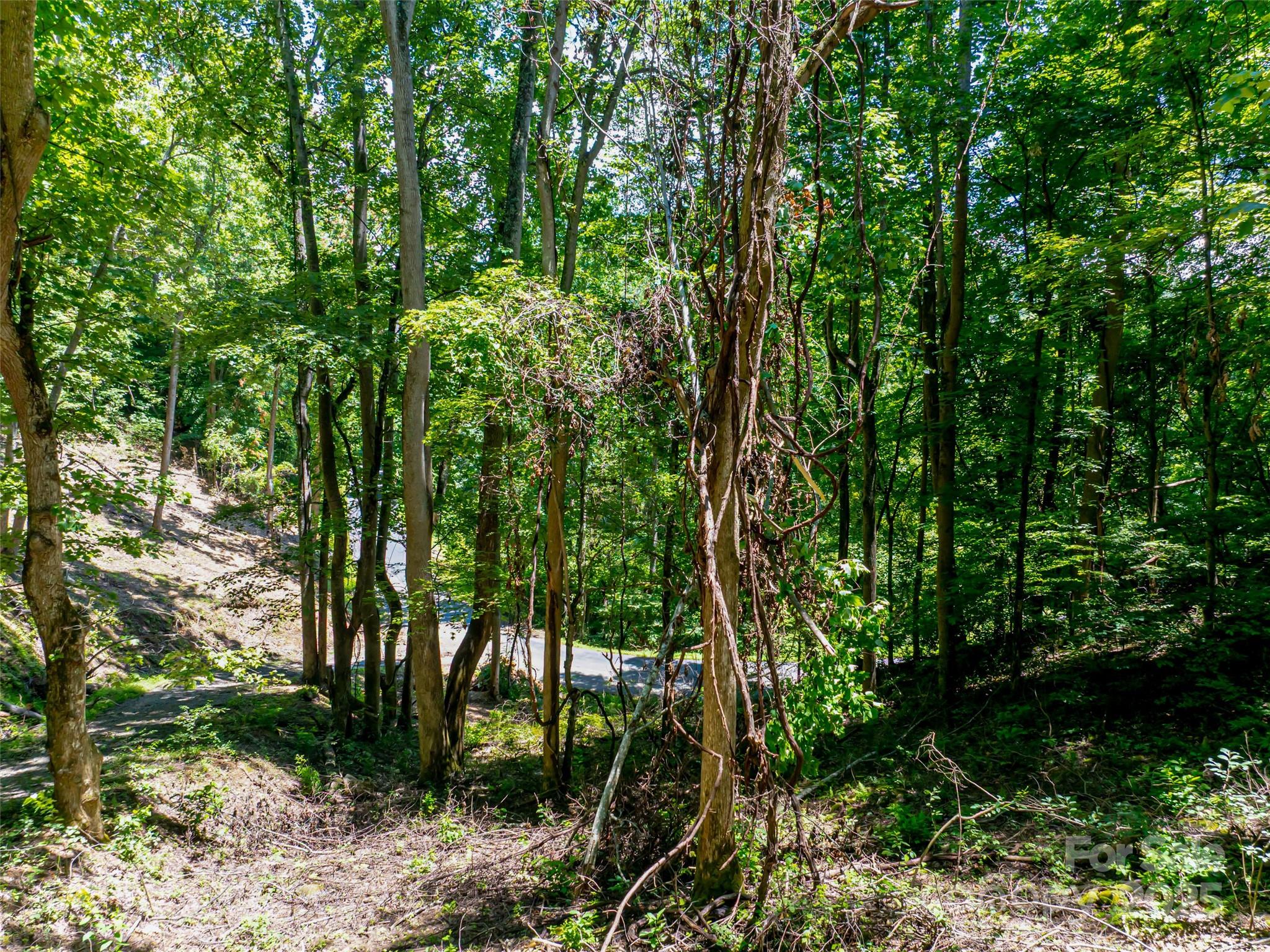 Mountain Park - Land