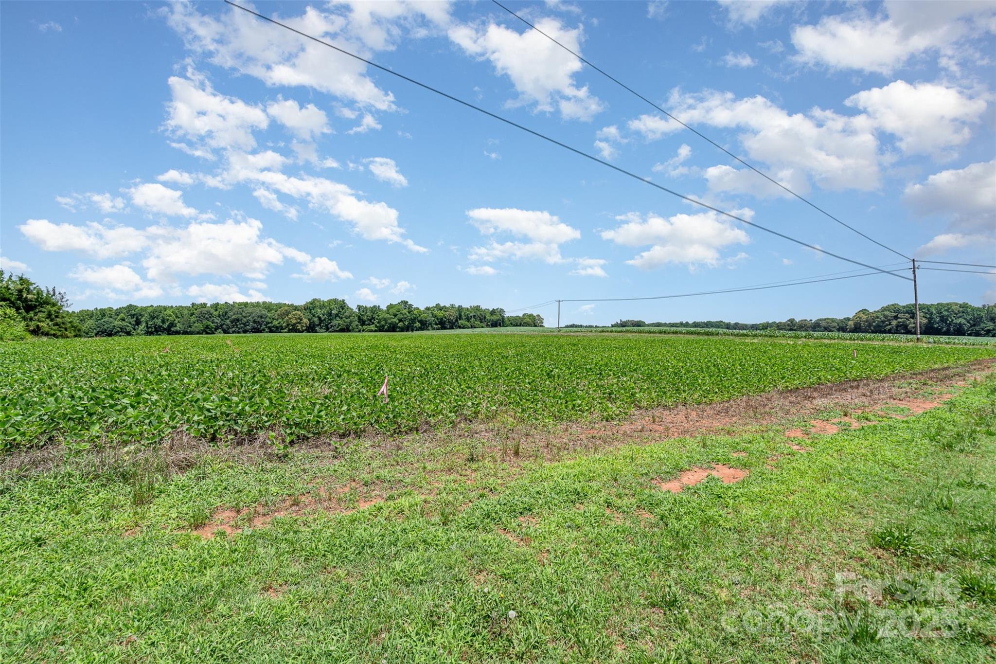 3D Sloan Road