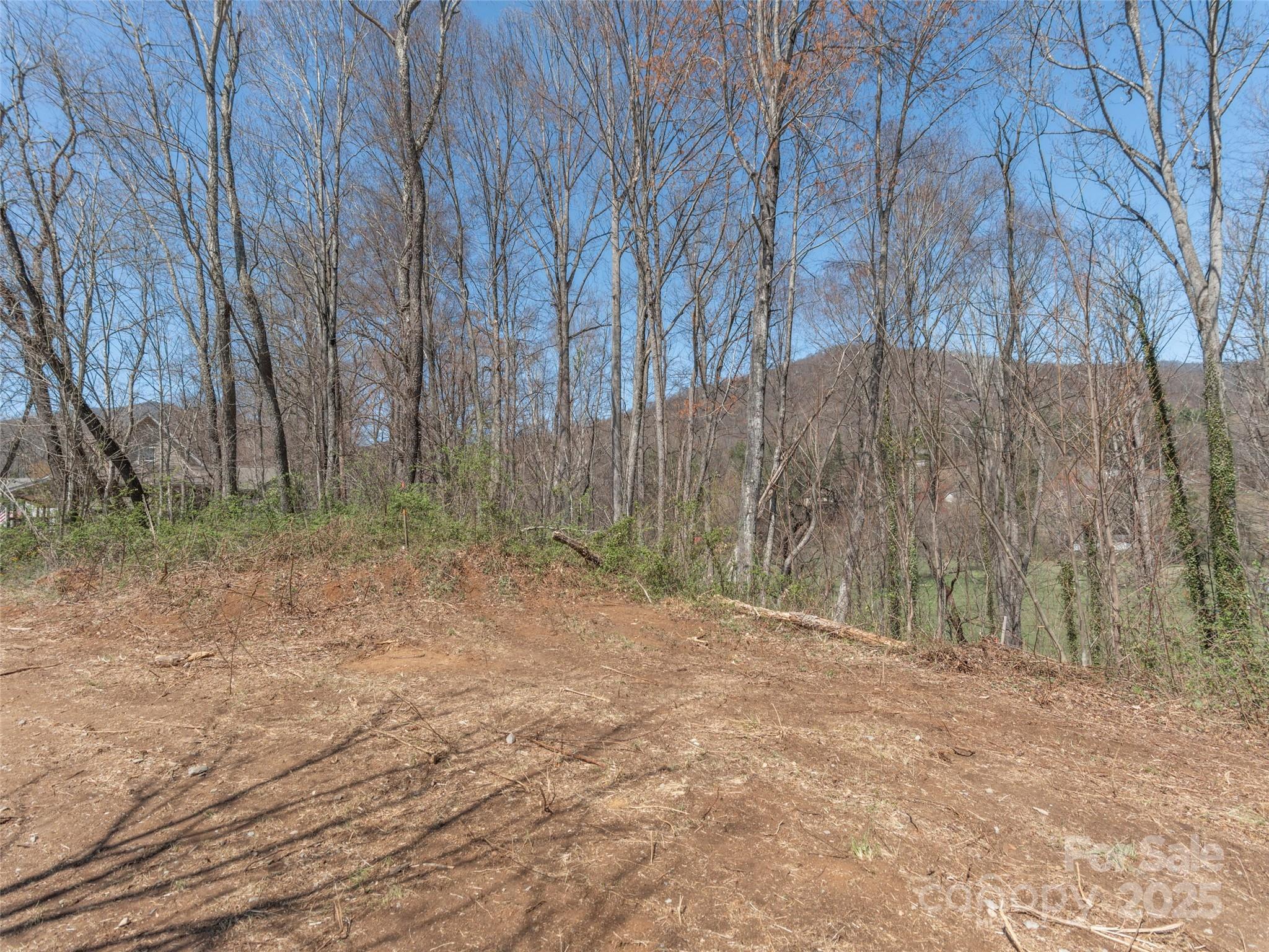 99999 Green Valley Road 1