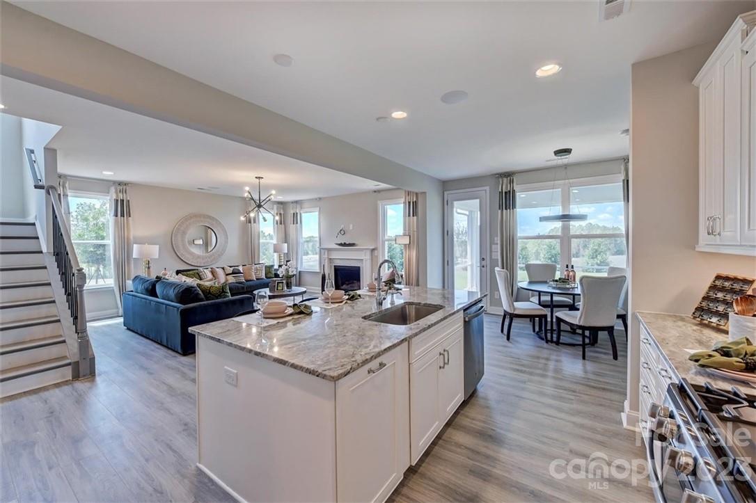 Meadow Vista - Residential