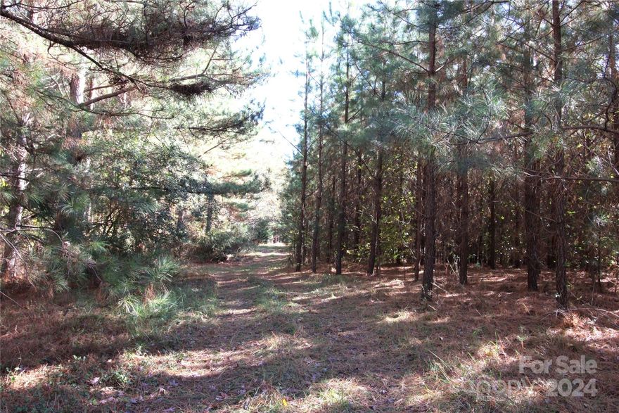 Beautiful 7+/- Acre tract of land on a quiet road in Clover School District. Property is surrounded by other large tracts and is conveniently located to York and Clover. Nice private build site among newly planted and mature planted pines. Minimum deed restrictions to create like in kind properties. Land has two separate tax parcels with the front portion being Clover School District and the back portion York School District. Land is part of a larger tract. CALL LISTING AGENT BEFORE SHOWING PROPERTY, IT IS CURRENTLY BEING HUNTED!!