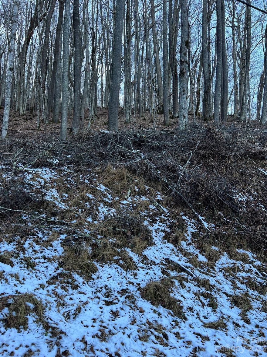 The beautiful Wolf Laurel gated community affords all the mountain living you could wish for with plenty to do summer and winter. Get your memberships and enjoy golf, horse back riding, swimming and several other amenities all at impressive heights with incredible views! Do you love hiking? The Appalachian Trail runs close by so you can jump on the local access points!