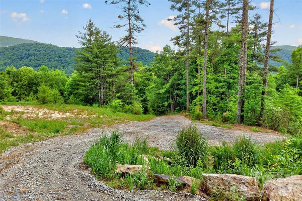 263 E LESTER LN, HENDERSONVILLE, NC 28739 - Image 8dfde3e85165a75fa26fbb1c2a39084d/1320677434