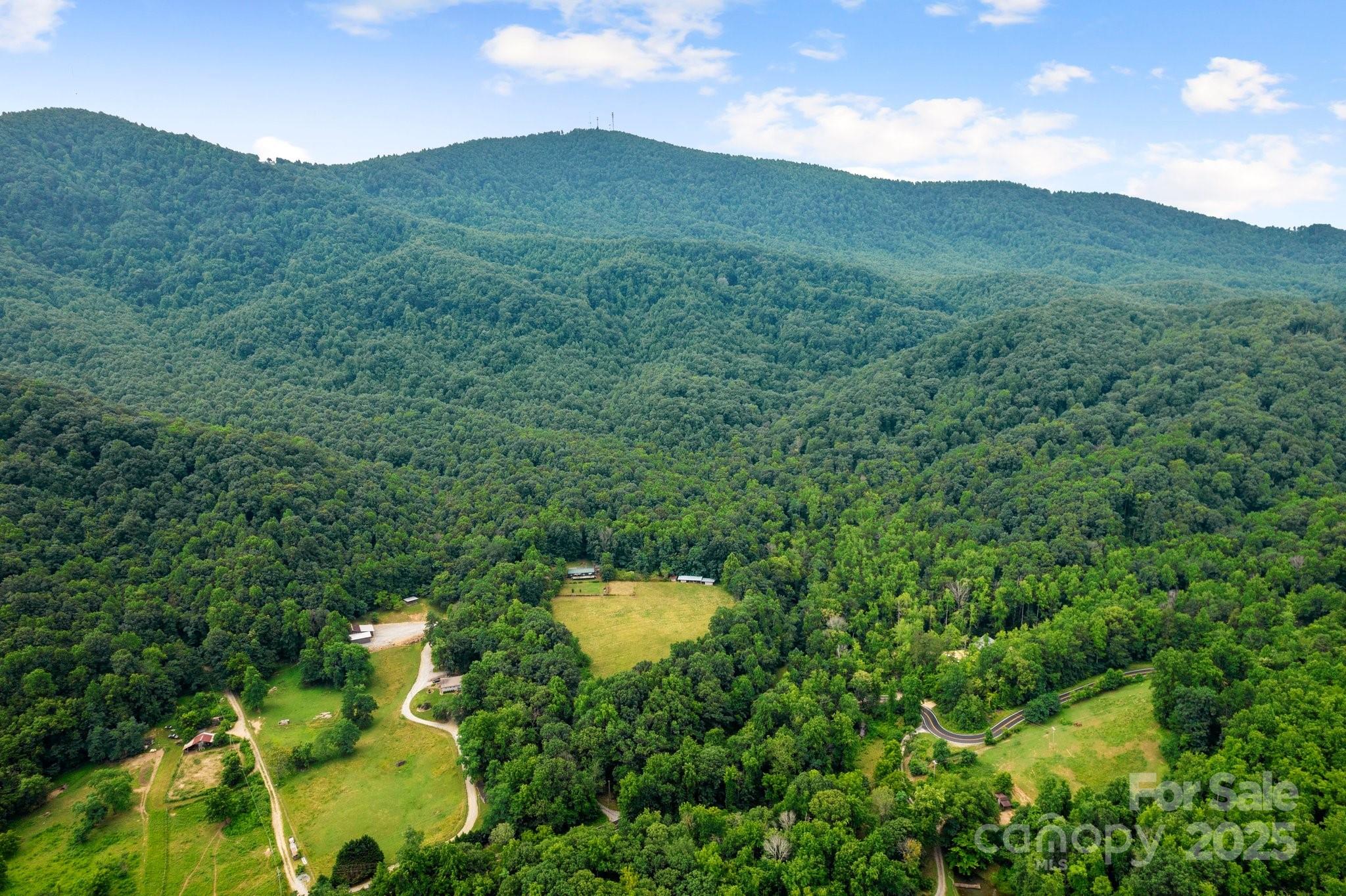 8252 Holbert Cove Road
