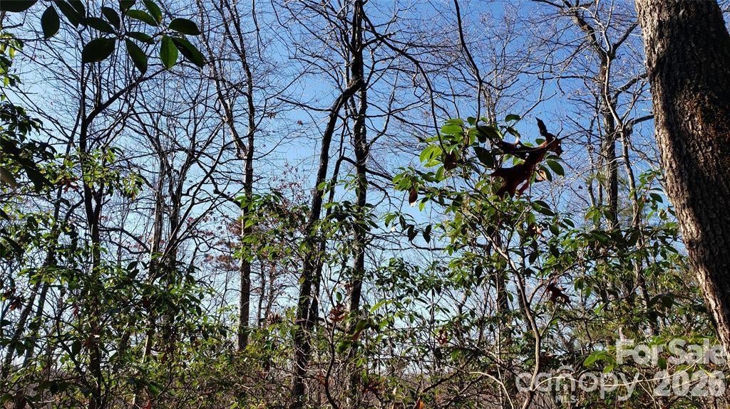 TBD Galax Lane G-11