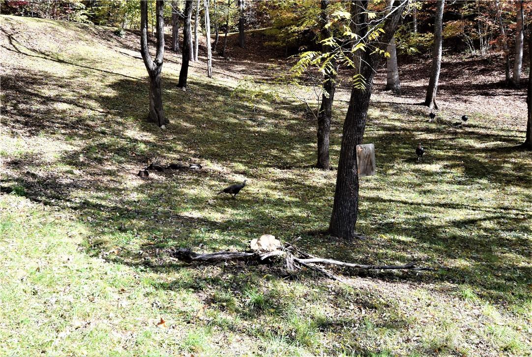 Campbell Mountain Estates - Land