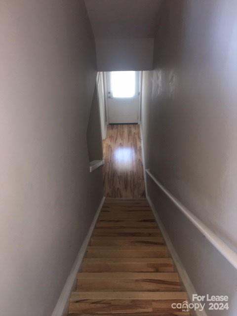 Seigle Point - Residential Lease