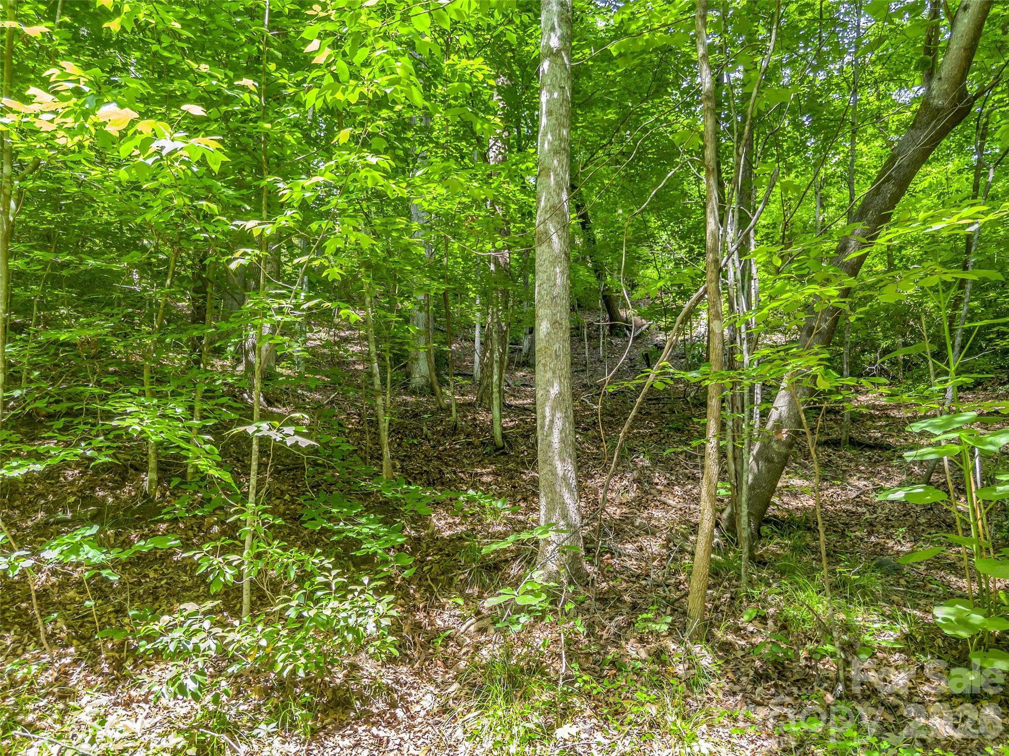 00 Chipmonk Trail 107