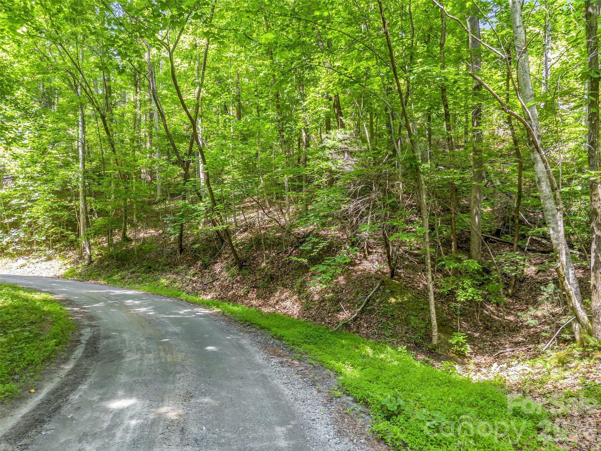 00 Chipmonk Trail 107