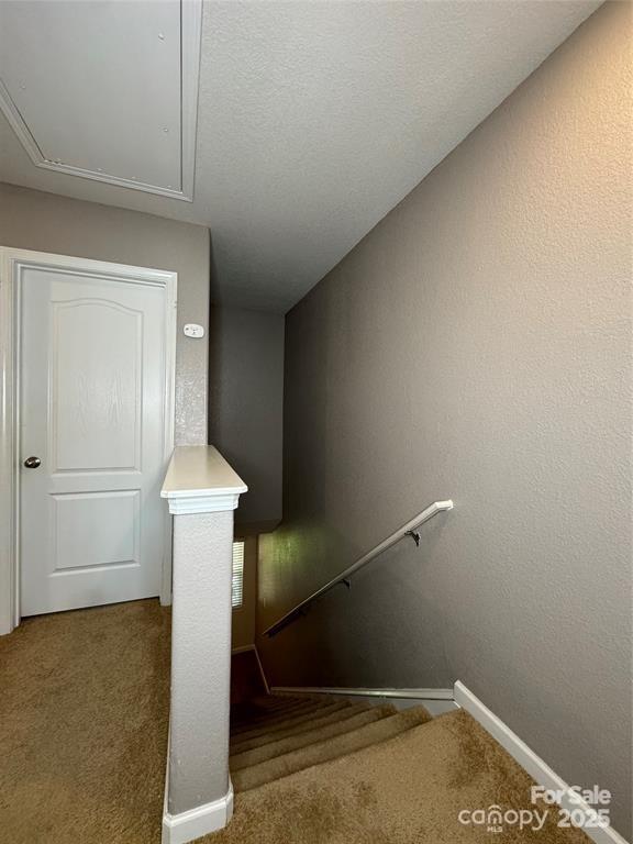 Paw Creek Village - Residential